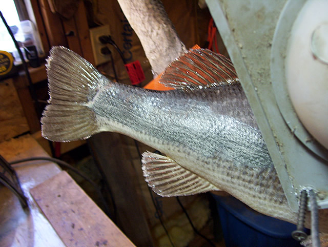 100_3671.jpg 100_3671.jpg