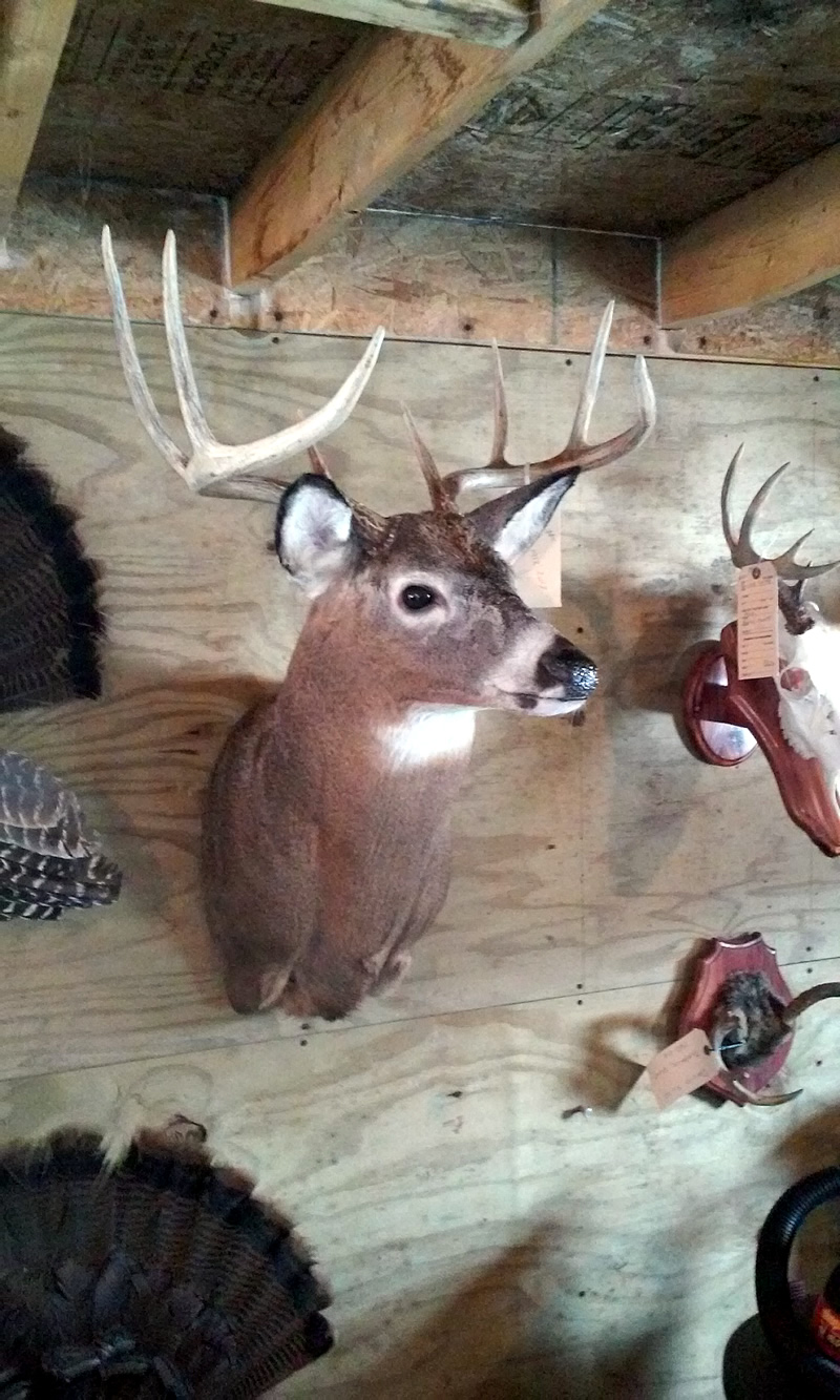 0227151256a.jpg 0227151256a.jpg