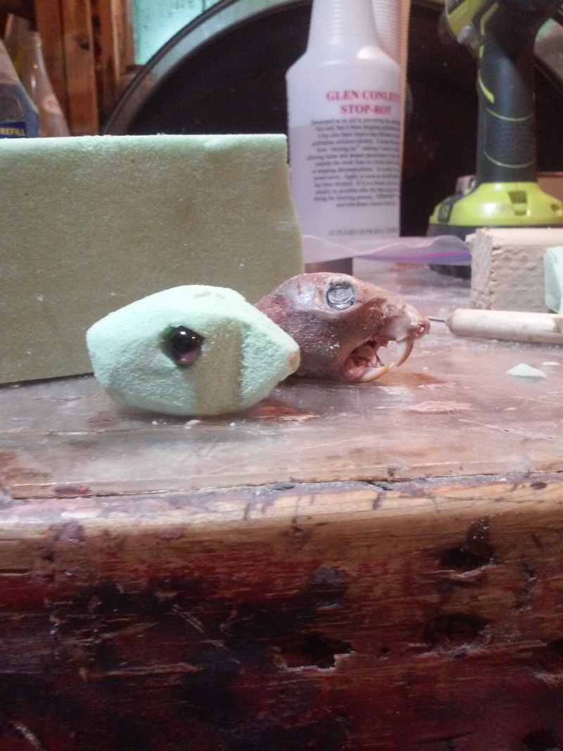 0709161029-1.jpg 0709161029-1.jpg