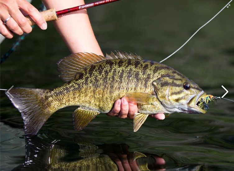 2016-08-04-04-02-04.jpg 2016-08-04-04-02-04.jpg