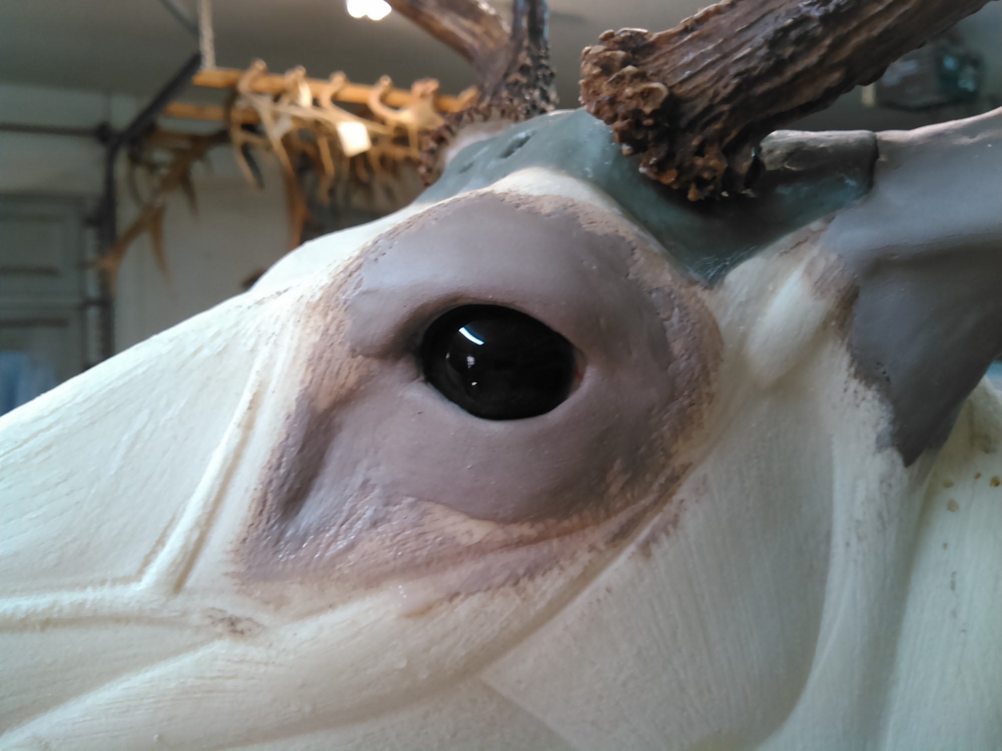 KIMG0195.jpg KIMG0195.jpg