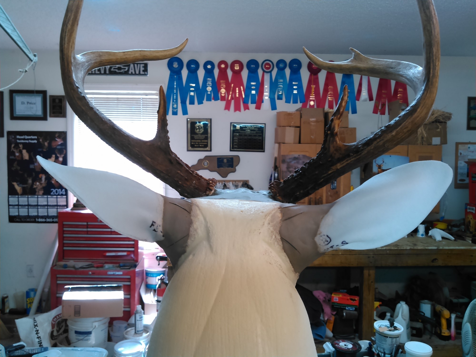 KIMG0201-1.jpg KIMG0201-1.jpg