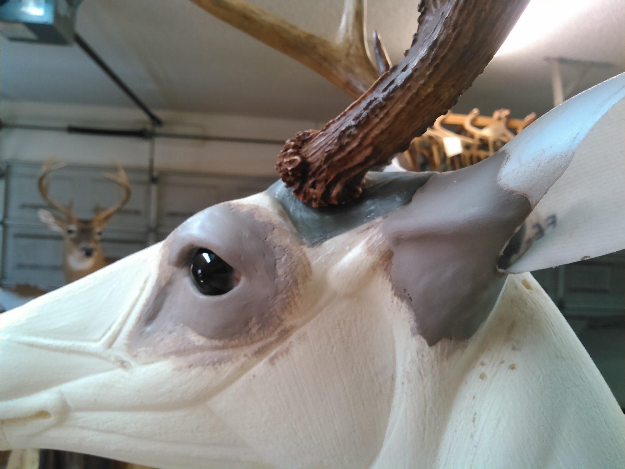 KIMG0204.jpg KIMG0204.jpg