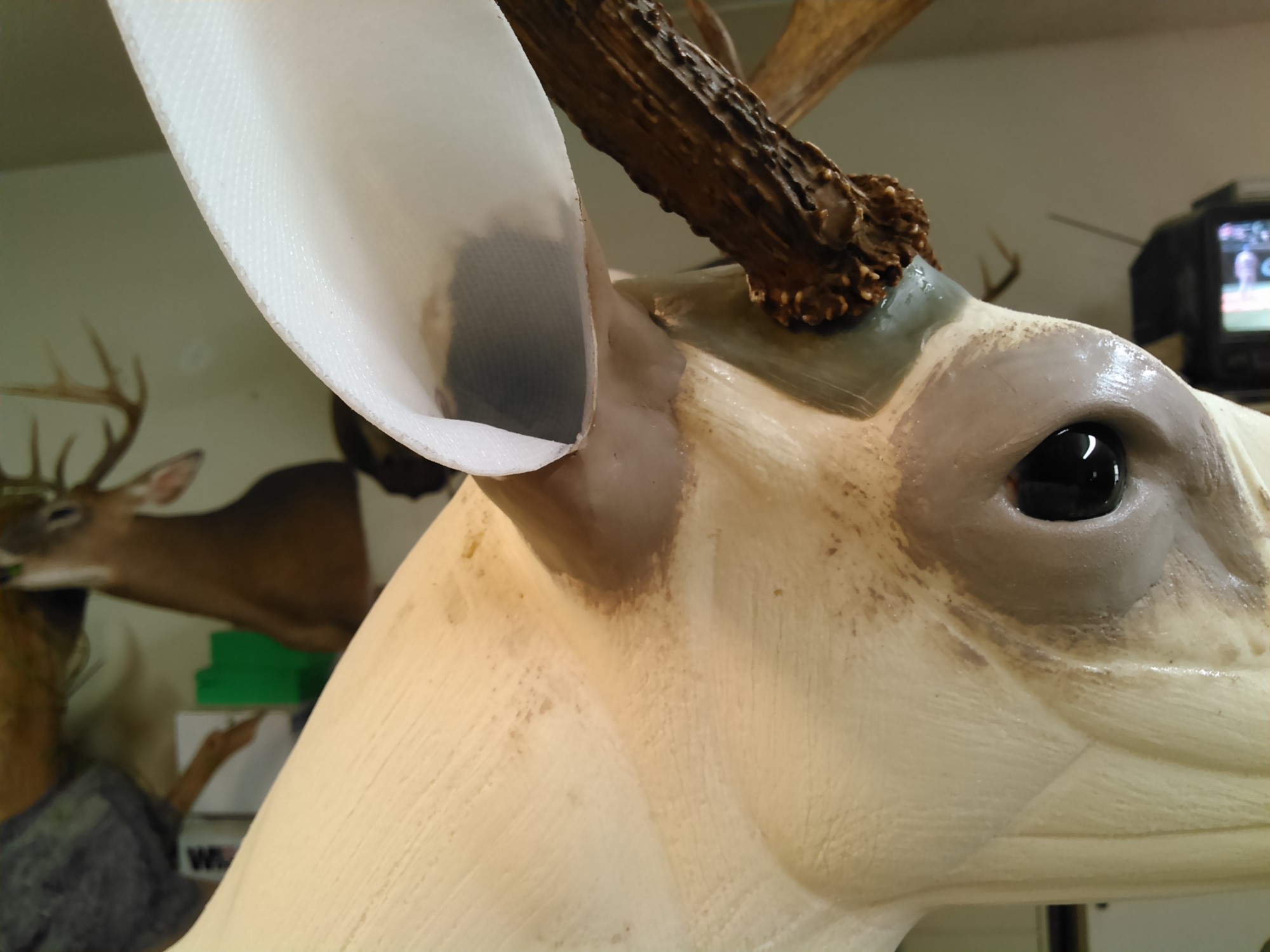 KIMG0205.jpg KIMG0205.jpg