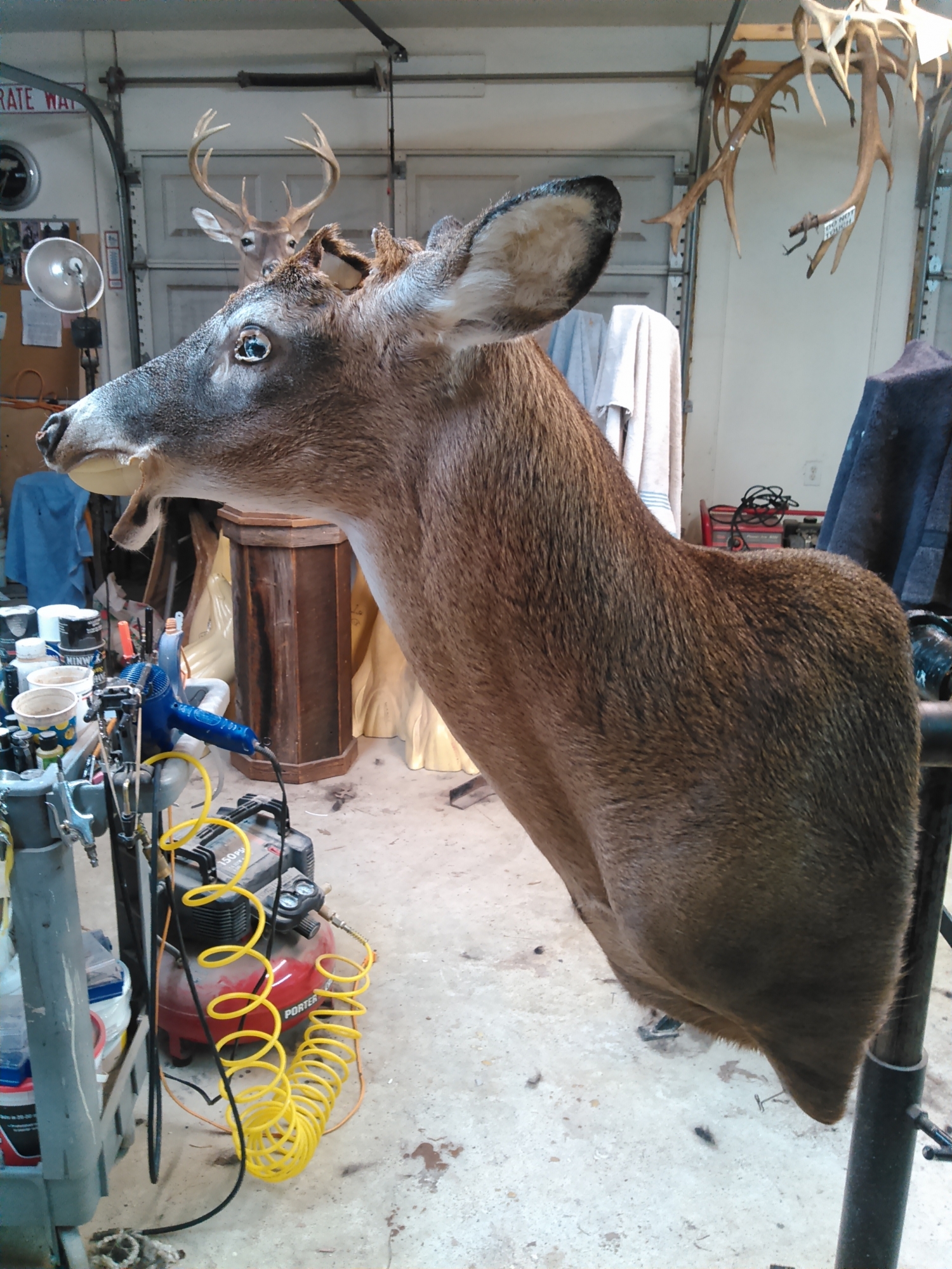 KIMG0225.jpg KIMG0225.jpg