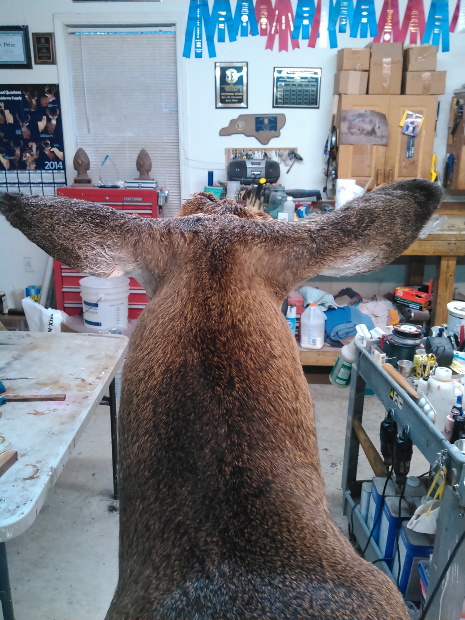 KIMG0226.jpg KIMG0226.jpg