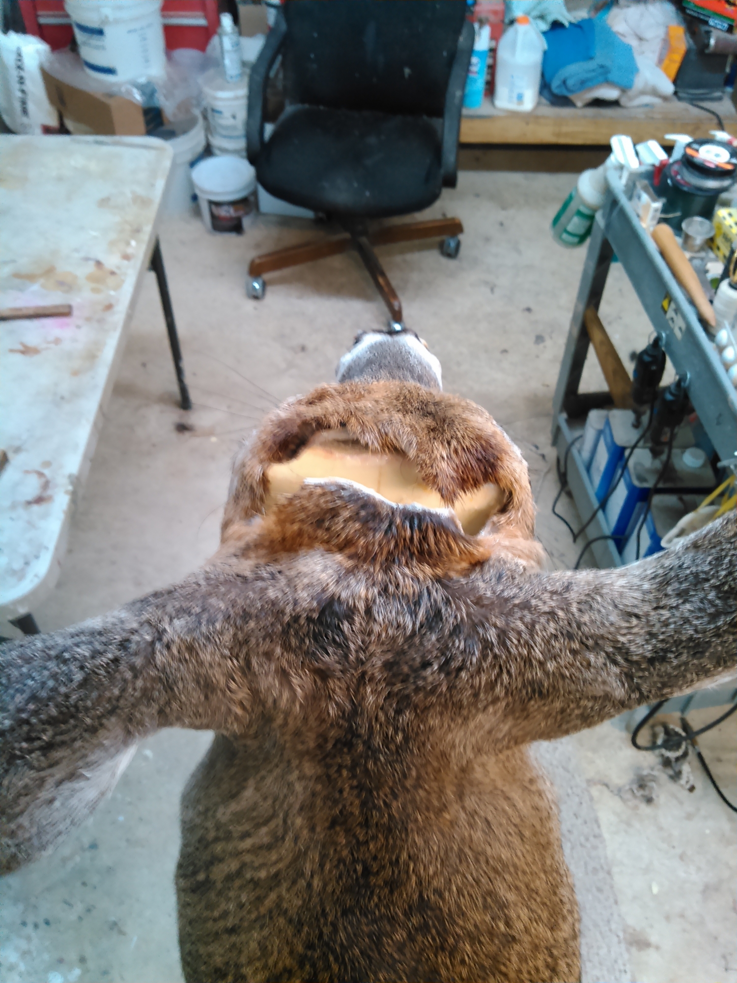 KIMG0227.jpg KIMG0227.jpg