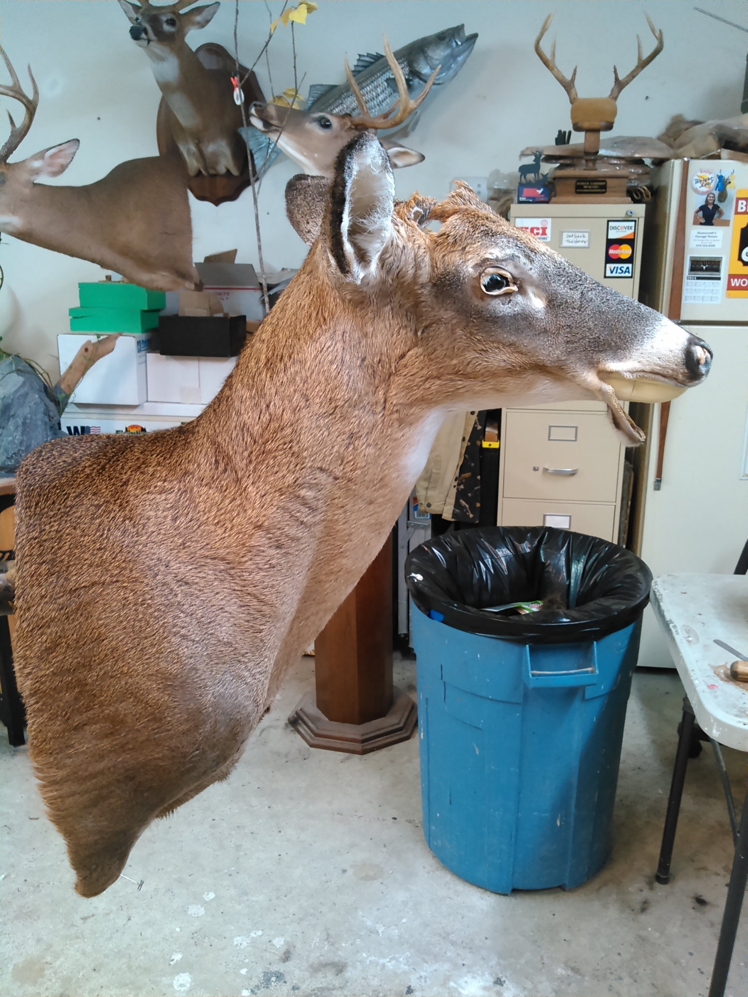 KIMG0228.jpg KIMG0228.jpg