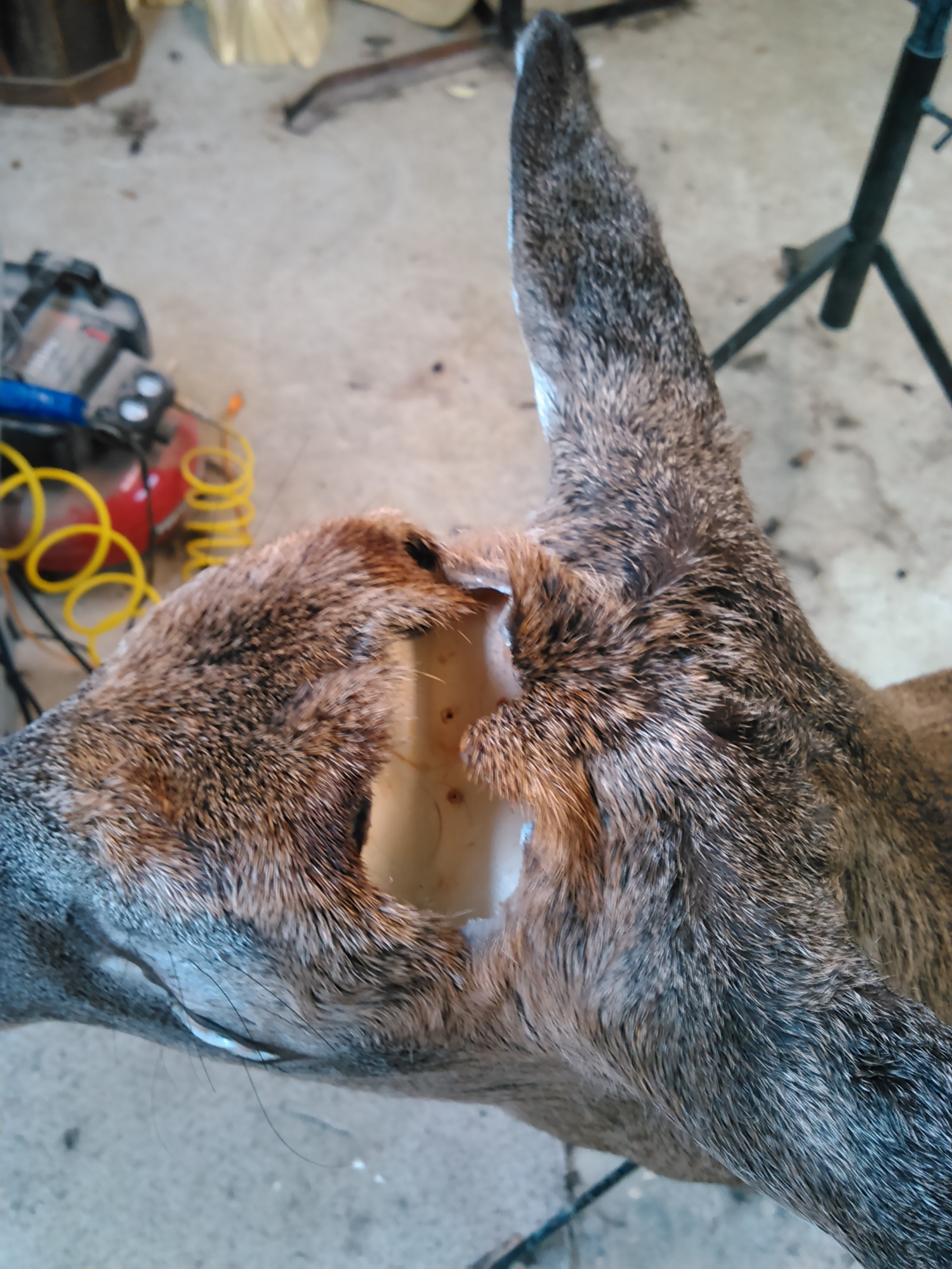 KIMG0230.jpg KIMG0230.jpg