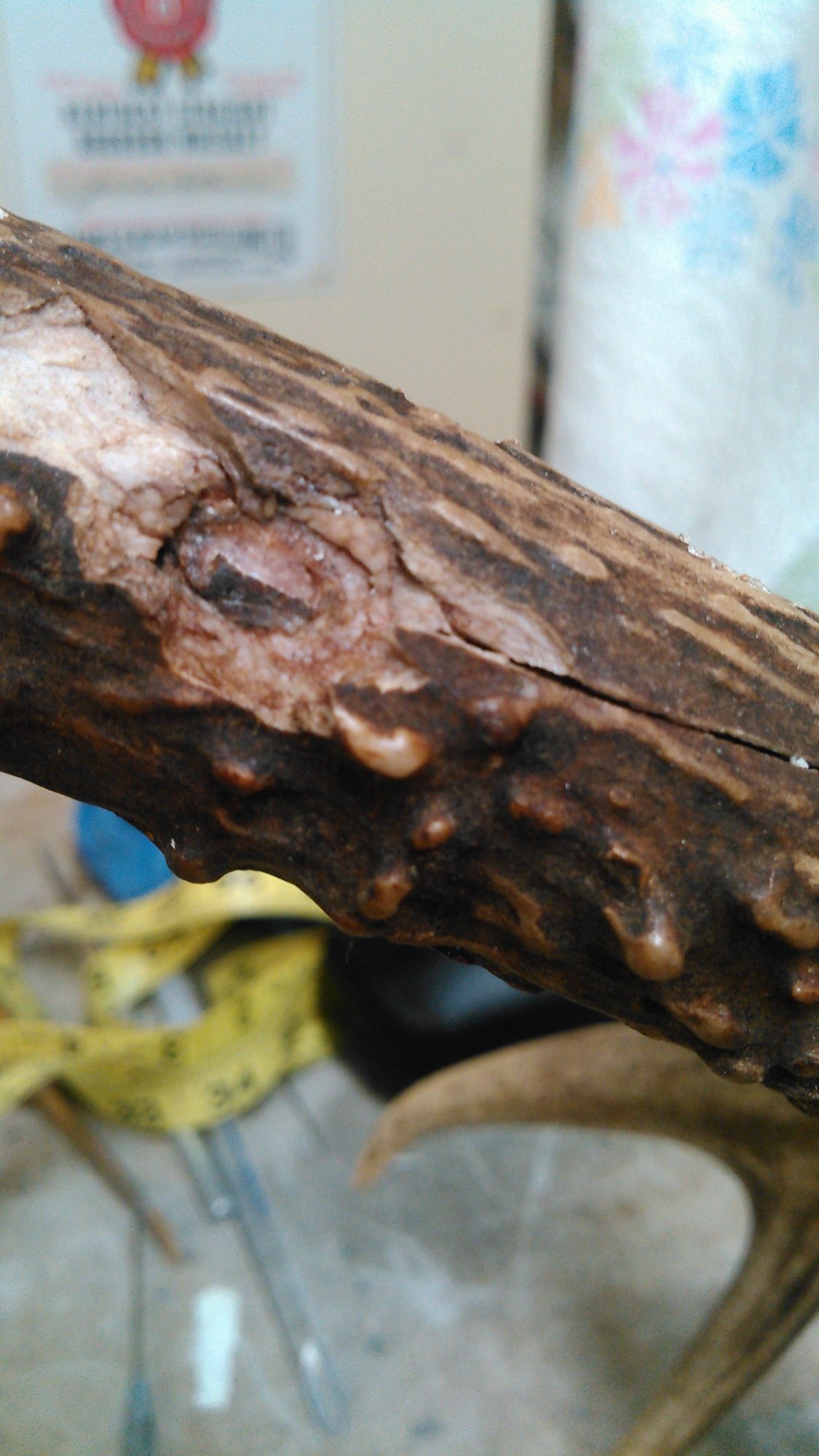 KIMG0406.jpg KIMG0406.jpg