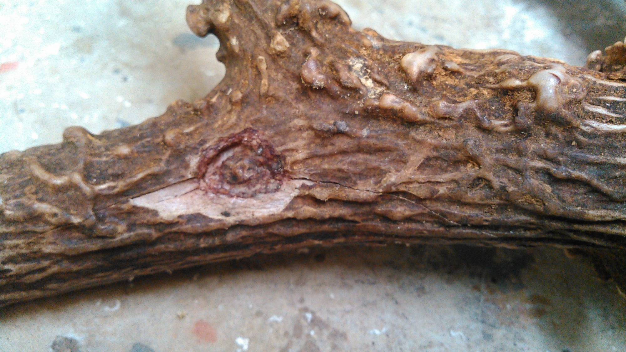 KIMG0407.jpg KIMG0407.jpg