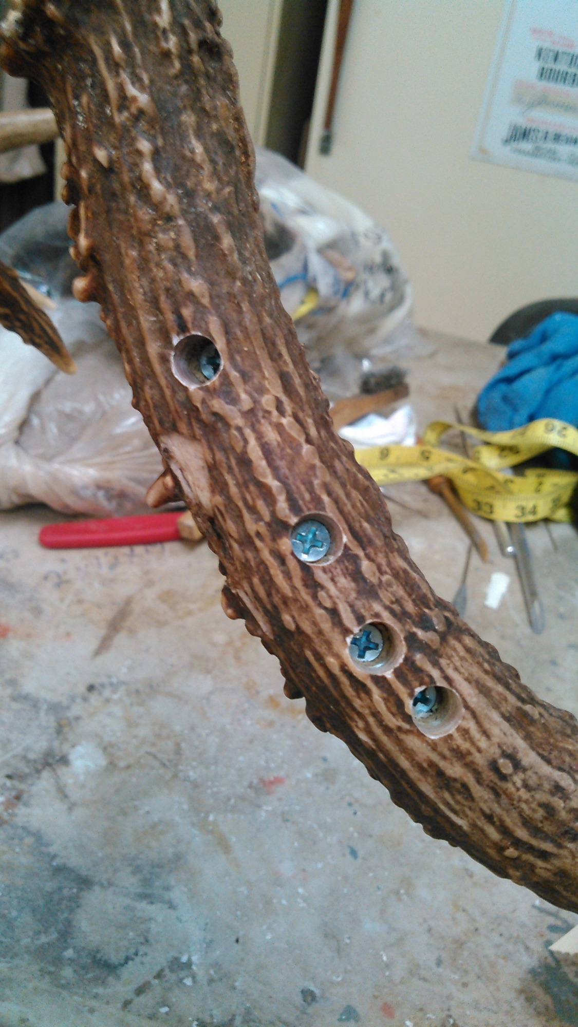 KIMG0408.jpg KIMG0408.jpg