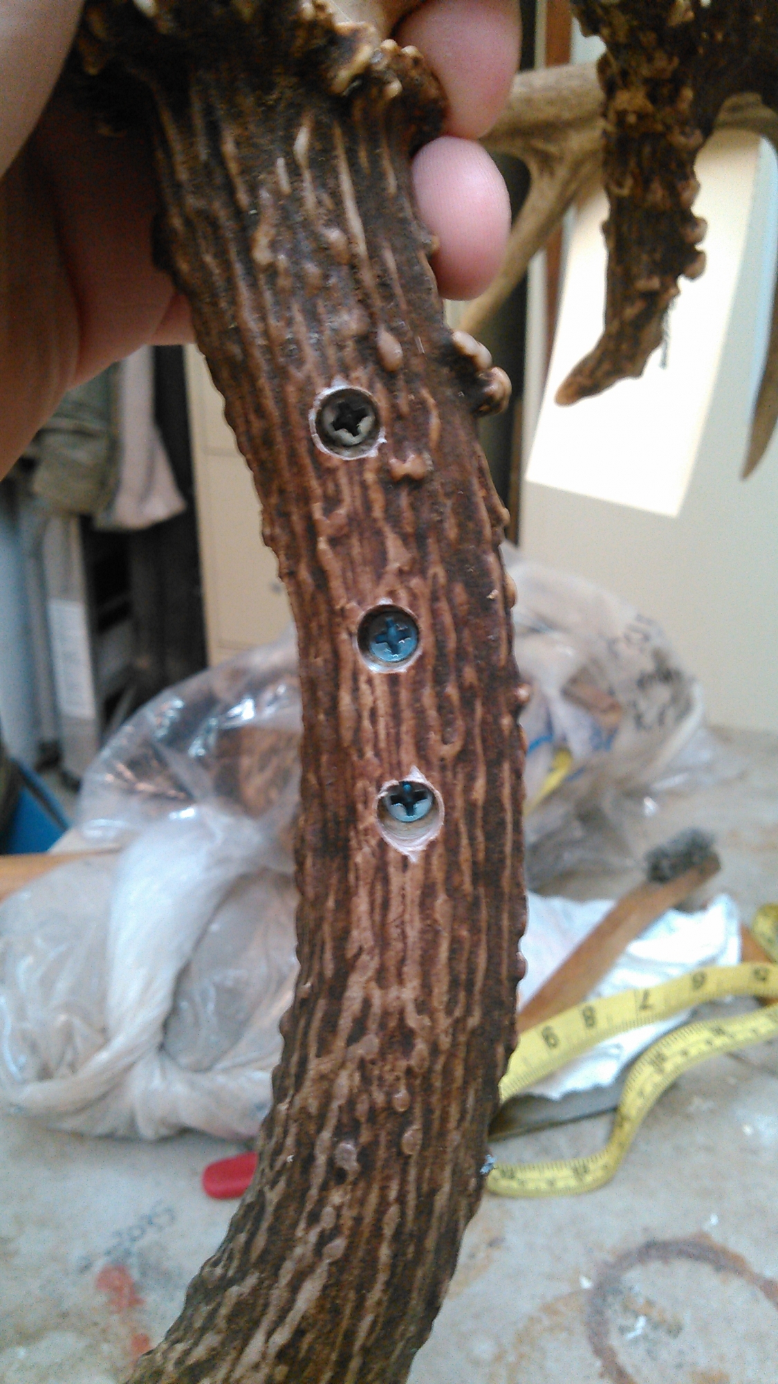 KIMG0409.jpg KIMG0409.jpg