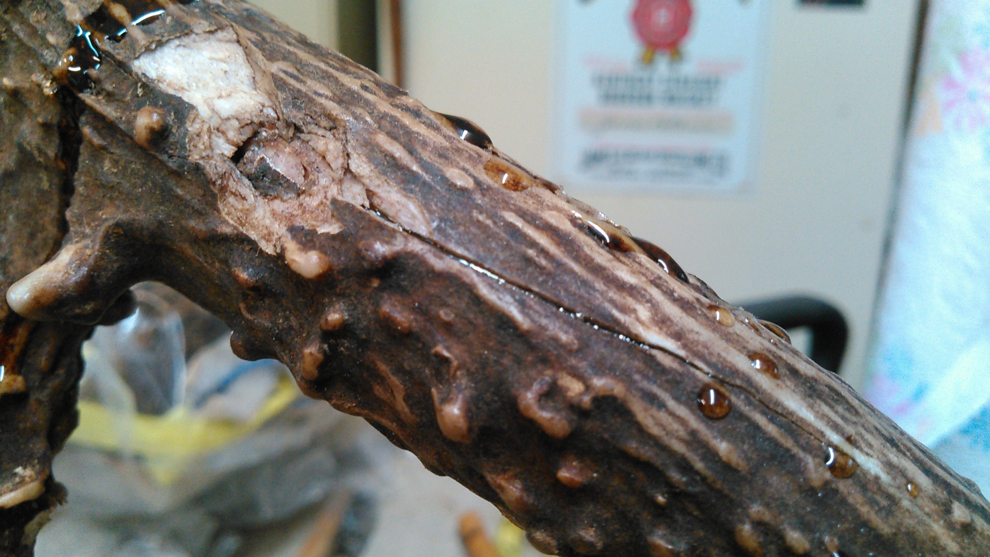 KIMG0410.jpg KIMG0410.jpg