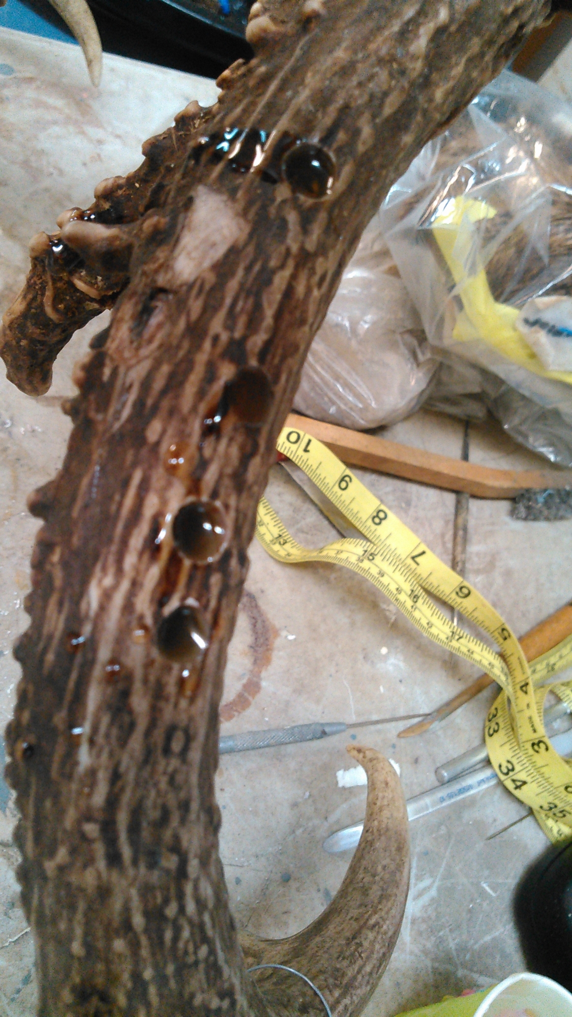 KIMG0411.jpg KIMG0411.jpg