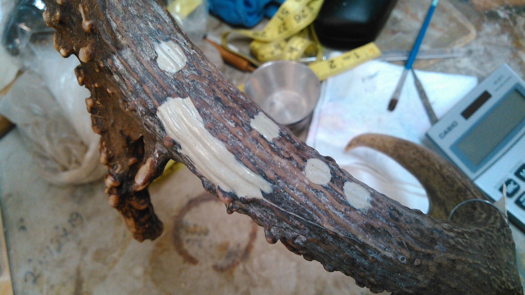 KIMG0412.jpg KIMG0412.jpg