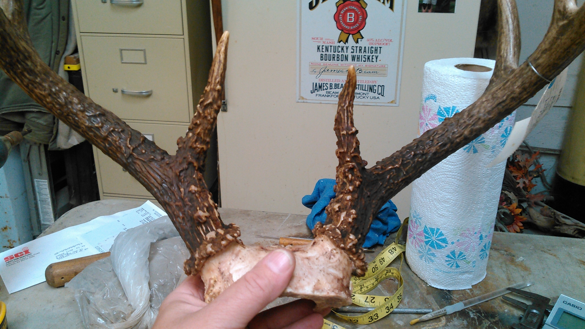 KIMG0415.jpg KIMG0415.jpg