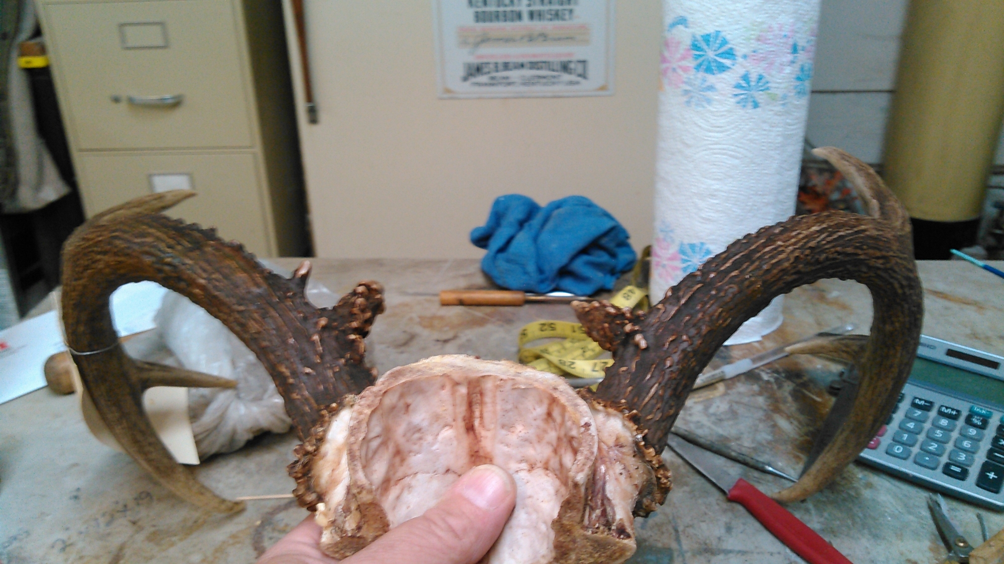 KIMG0416.jpg KIMG0416.jpg