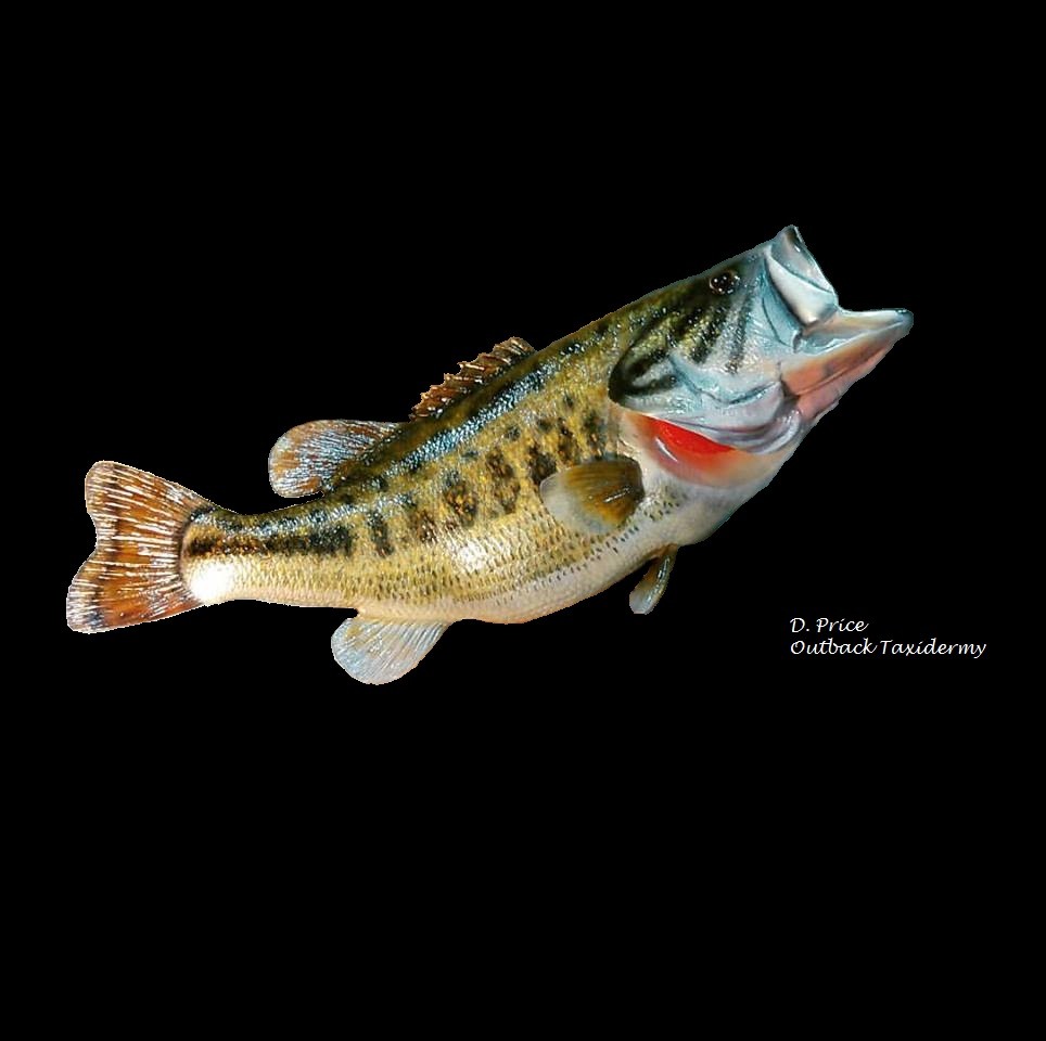 13173775_1062594650444344_3042088959520466866_n-1.jpg 13173775_1062594650444344_3042088959520466866_n-1.jpg