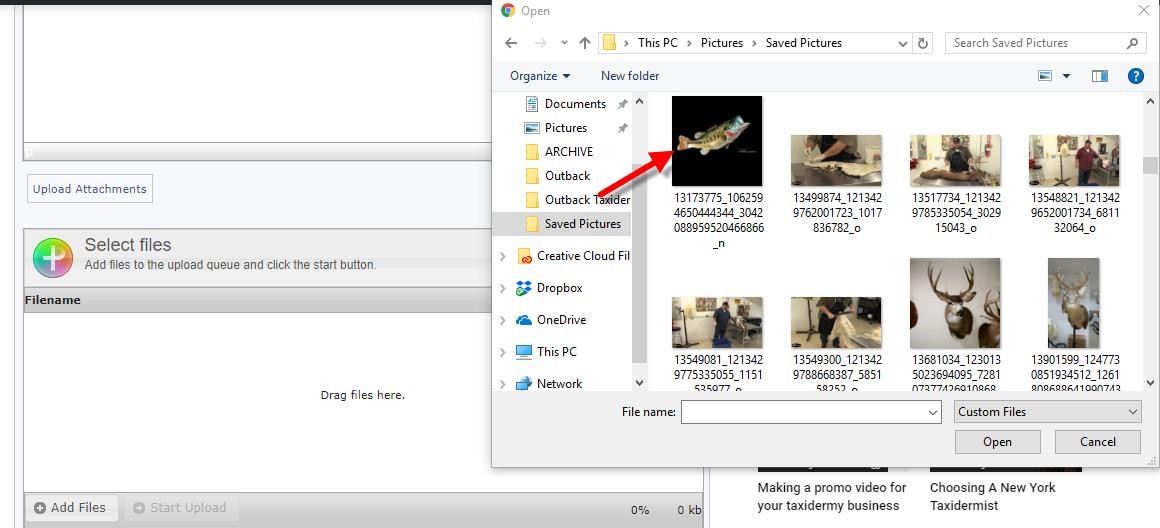 photoatt3.jpg photoatt3.jpg