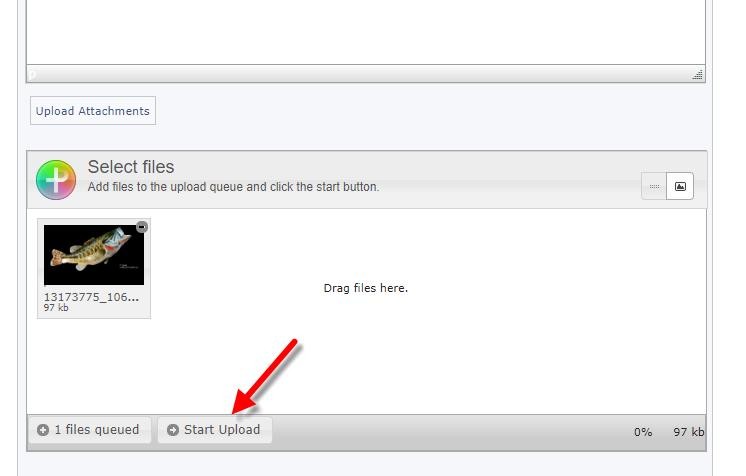 photoatt4.jpg photoatt4.jpg