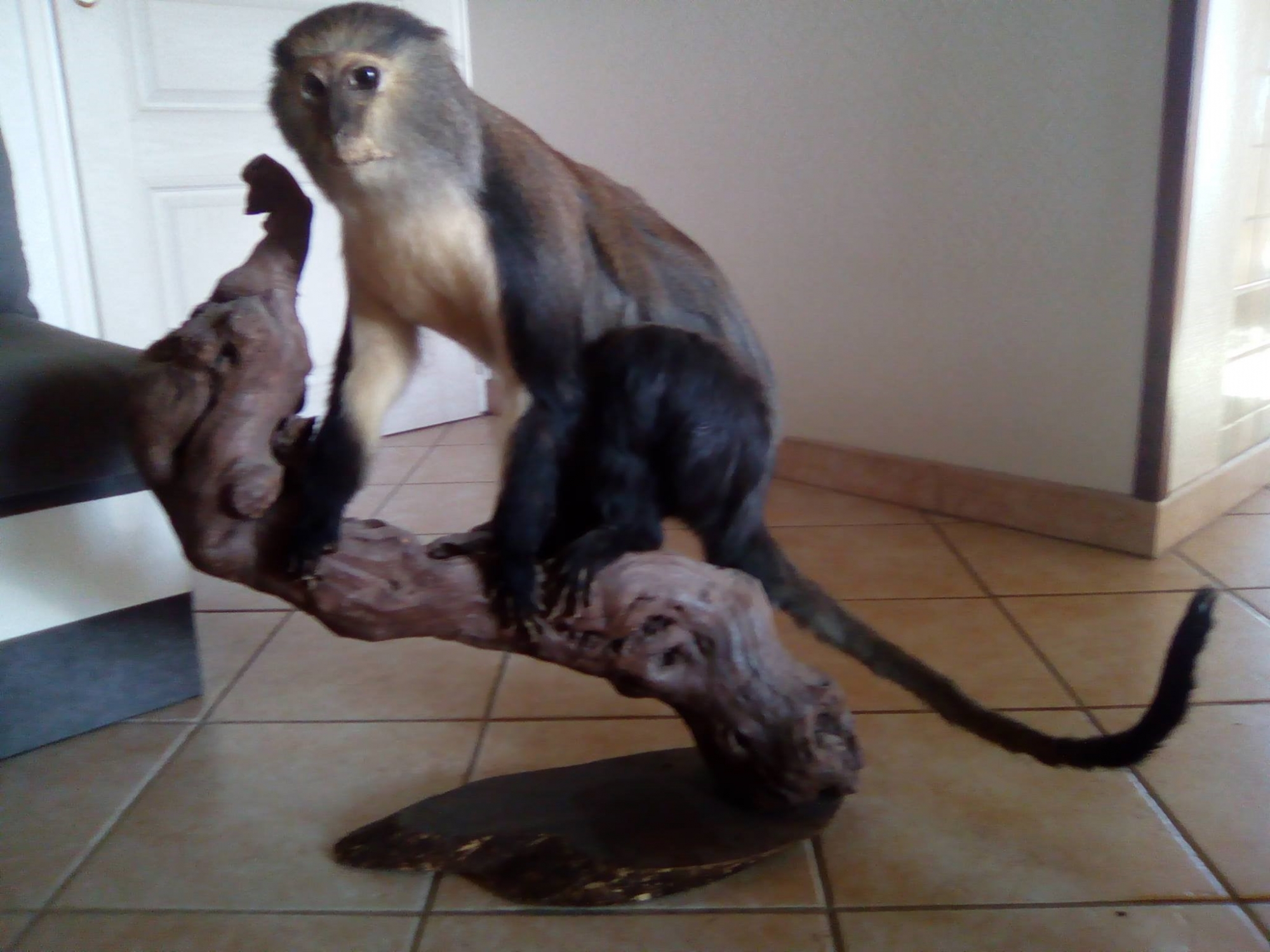 16409043_618982944953916_638387446_o.jpg 16409043_618982944953916_638387446_o.jpg