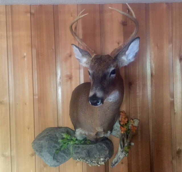 FullSizeRender.jpg FullSizeRender.jpg