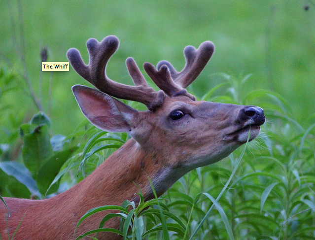 Screen-shot-2013-10-17-at-10.00.52-AM.png Screen-shot-2013-10-17-at-10.00.52-AM.png