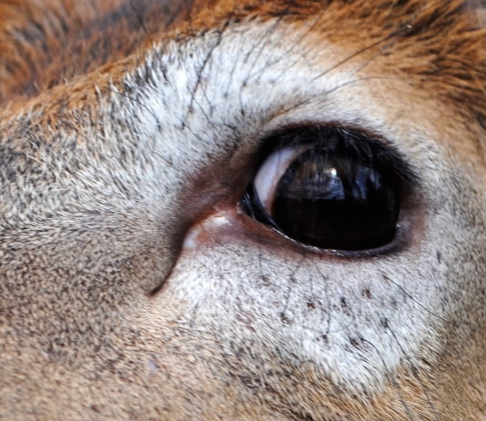 image12.jpg image12.jpg