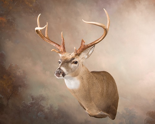 WO3-7120LRESIZE-1.jpg WO3-7120LRESIZE-1.jpg