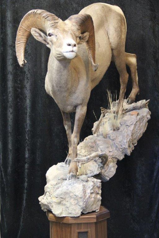 IMG_44742.jpg IMG_44742.jpg