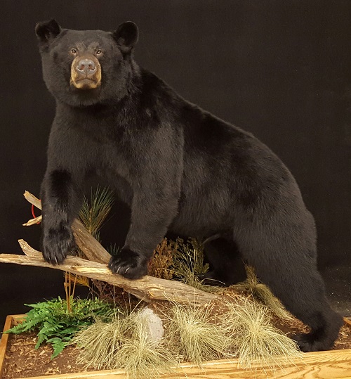 20150803_155146-11-2.jpg 20150803_155146-11-2.jpg