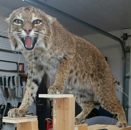 2015-03-23-22.47.51-1.jpg 2015-03-23-22.47.51-1.jpg