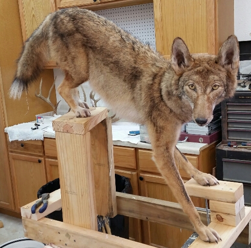 2015-03-30-22.34.19.jpg 2015-03-30-22.34.19.jpg