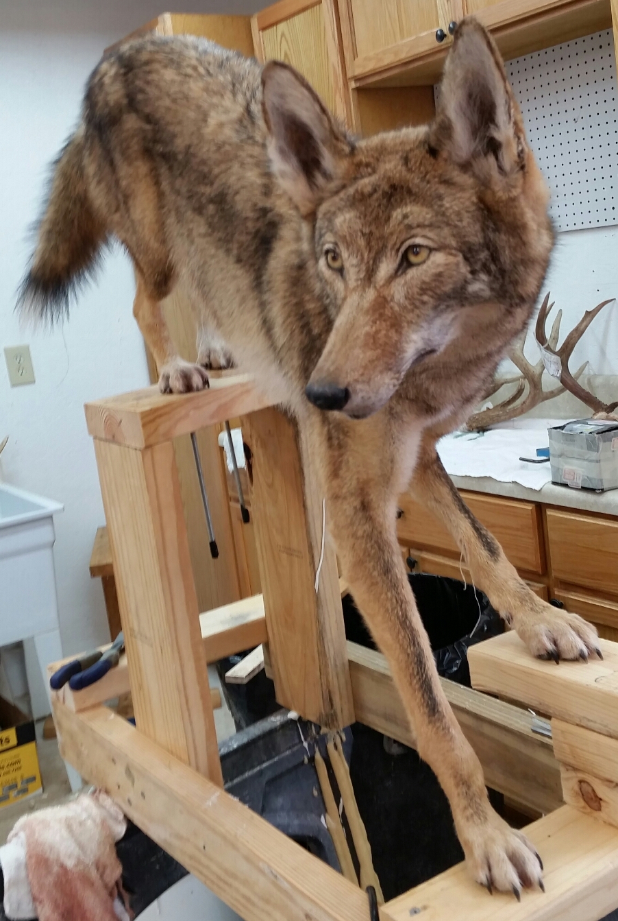 2015-03-30-22.36.37.jpg 2015-03-30-22.36.37.jpg