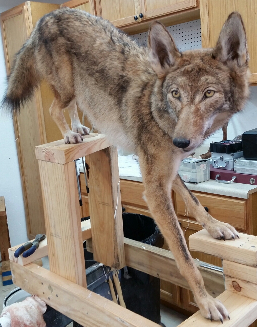 2015-03-30-22.37.48.jpg 2015-03-30-22.37.48.jpg