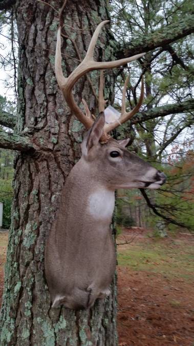 28_675.jpg 28_675.jpg