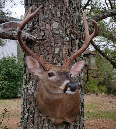 2015-04-09-22.56.59.jpg 2015-04-09-22.56.59.jpg