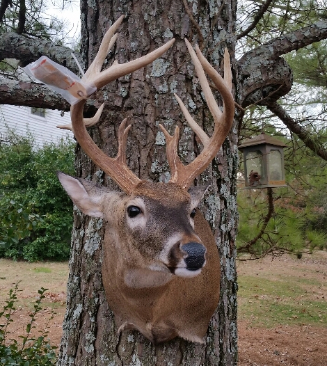 2015-04-09-22.59.46.jpg 2015-04-09-22.59.46.jpg