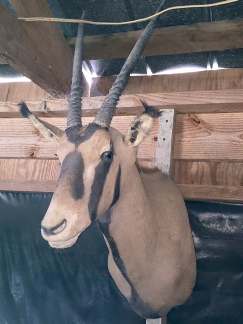 FullSizeRender-10.jpg FullSizeRender-10.jpg