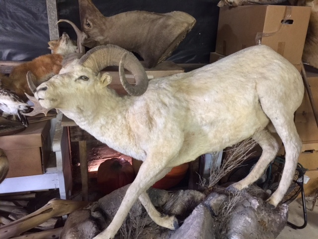 FullSizeRender-11.jpg FullSizeRender-11.jpg