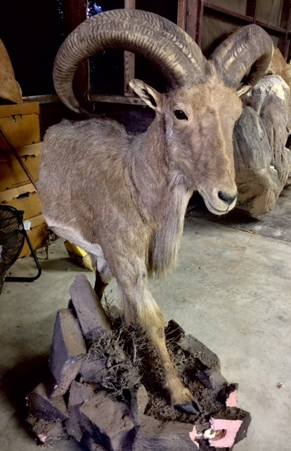 FullSizeRender-12.jpg FullSizeRender-12.jpg