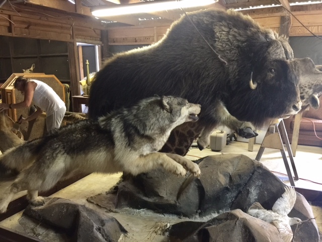 FullSizeRender-13.jpg FullSizeRender-13.jpg