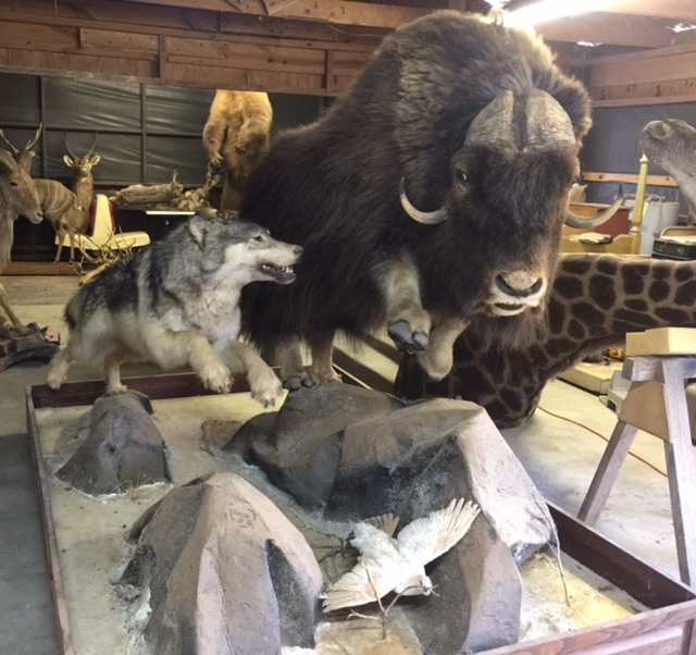 FullSizeRender-14.jpg FullSizeRender-14.jpg