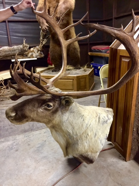 FullSizeRender-16.jpg FullSizeRender-16.jpg