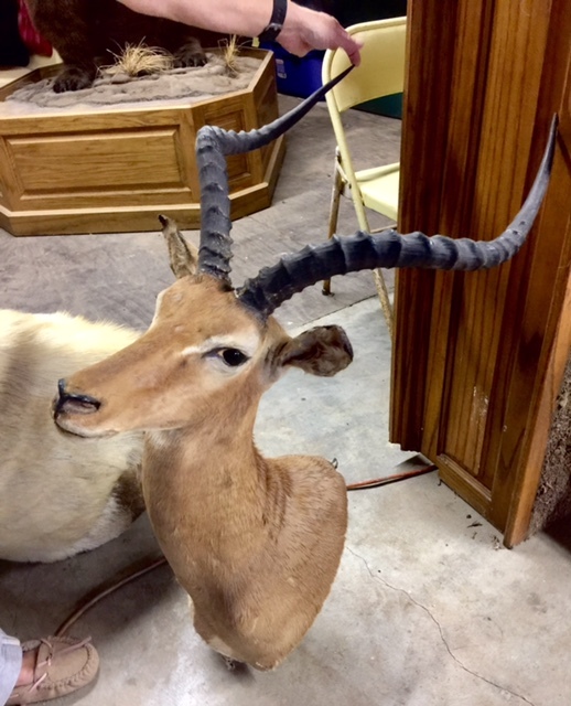 FullSizeRender-18.jpg FullSizeRender-18.jpg