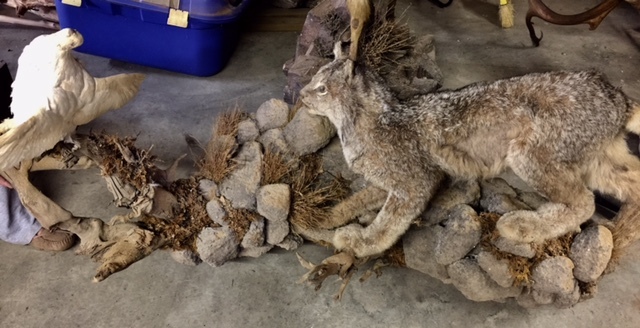 FullSizeRender-19.jpg FullSizeRender-19.jpg