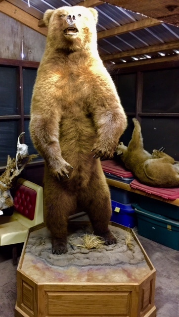 FullSizeRender-2.jpg FullSizeRender-2.jpg