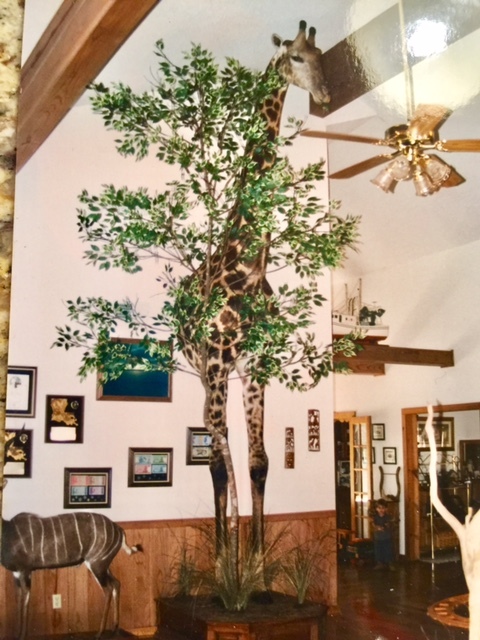 FullSizeRender-20.jpg FullSizeRender-20.jpg