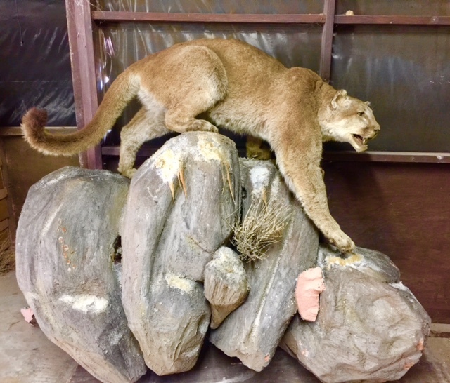 FullSizeRender-4.jpg FullSizeRender-4.jpg